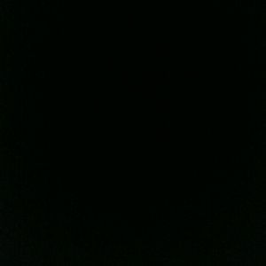 Meet your Posher, Beverly